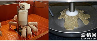 仔豬自動化稀飼料制作系統(tǒng) 飼料生產(chǎn)的高效解決方案